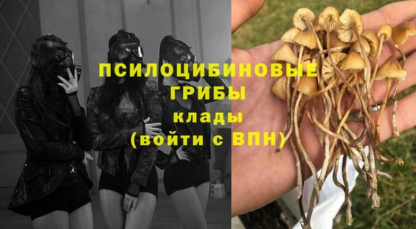 бутират Алексин