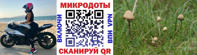 Псилоцибиновые грибы Psilocybine cubensis  мега tor  Мичуринск 